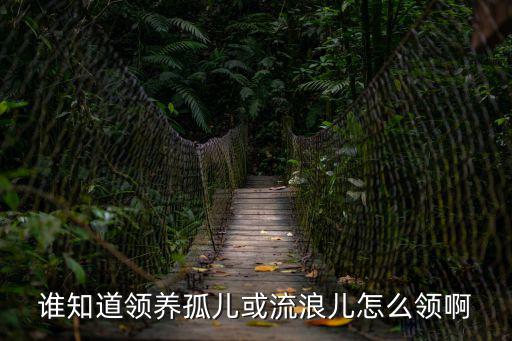 誰知道領(lǐng)養(yǎng)孤兒或流浪兒怎么領(lǐng)啊