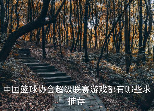 中國籃球協會超級聯賽游戲都有哪些求推薦
