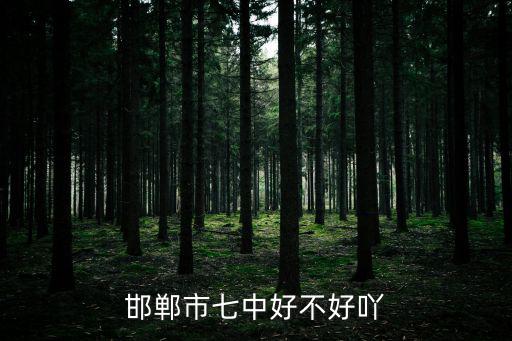 邯鄲市第七中學，邯鄲市七中在哪里