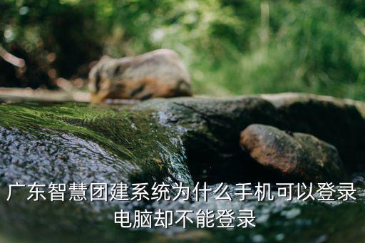 廣東智慧團建系統(tǒng)為什么手機可以登錄 電腦卻不能登錄