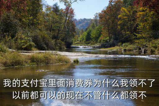 支付寶消費券，支付寶消費券是怎么搶的怎么使用