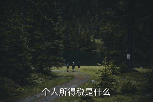 個(gè)人所得稅是什么