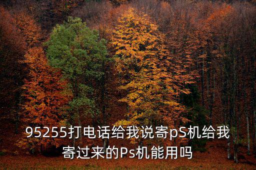 95255打電話給我說寄pS機給我寄過來的Ps機能用嗎