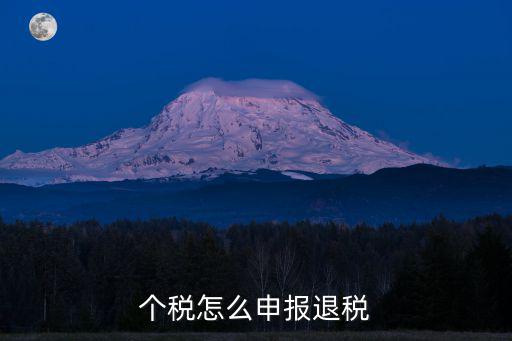 個(gè)稅怎么申報(bào)退稅