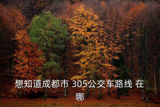 想知道成都市 305公交車路線 在哪