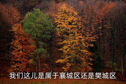 我們這兒是屬于襄城區還是樊城區