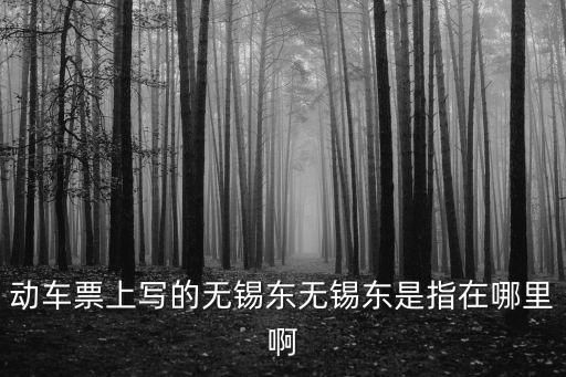 無錫東站在哪個區(qū)，無錫東站的地理位置