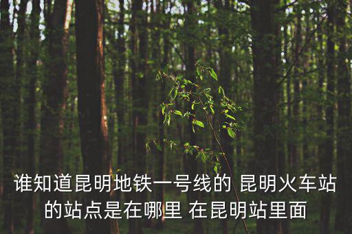 一號地鐵，誰知道昆明地鐵一號線的 昆明火車站的站點是在哪里 在昆明站里面
