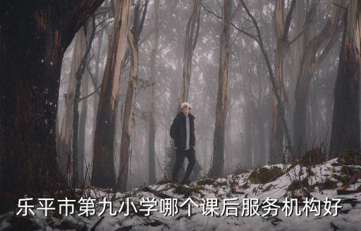 樂平市第九小學哪個課后服務機構好