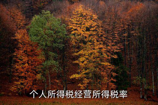 個人所得稅經(jīng)營所得稅率