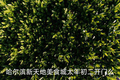 哈爾濱新天地美食城大年初二開門么
