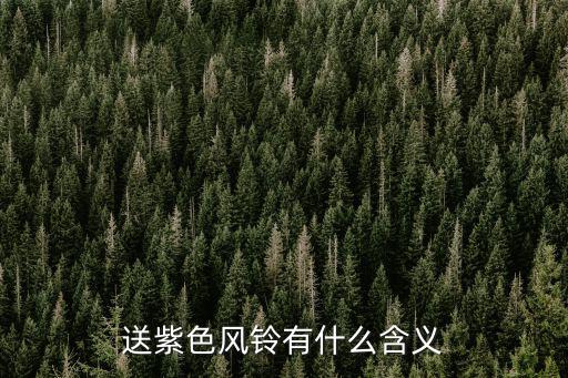 送紫色風鈴有什么含義