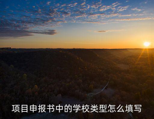 項目申報書中的學校類型怎么填寫