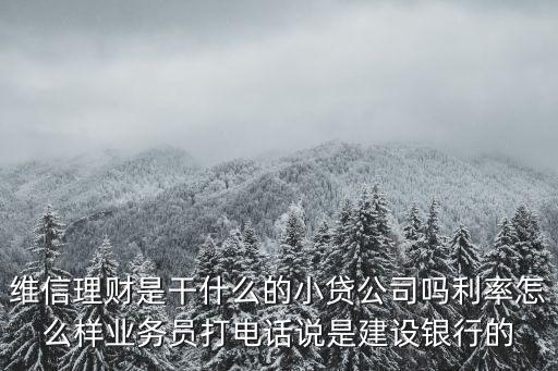 維信理財(cái)，維信是干什么用的