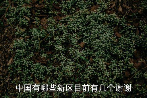 城市發(fā)展新區(qū)，家建設(shè)衛(wèi)星城開(kāi)發(fā)新區(qū)的衛(wèi)星城和新區(qū)各是什么