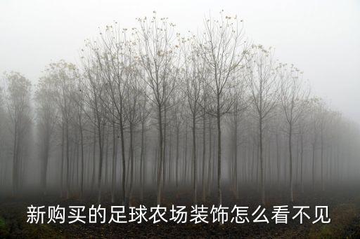 新購(gòu)買的足球農(nóng)場(chǎng)裝飾怎么看不見
