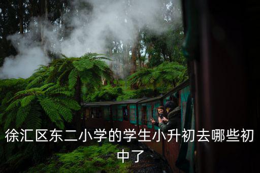 徐匯區東二小學的學生小升初去哪些初中了