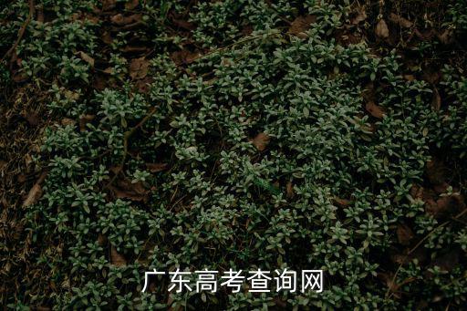 廣東高考查詢(xún)網(wǎng)