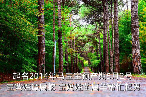起名2014年馬寶寶預(yù)產(chǎn)期5月2號寶爸姓譚屬蛇 寶媽姓苗屬羊幫忙起男