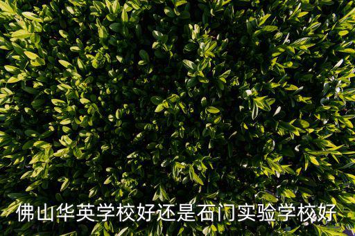 佛山華英學(xué)校好還是石門實驗學(xué)校好