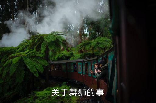 關(guān)于舞獅的事