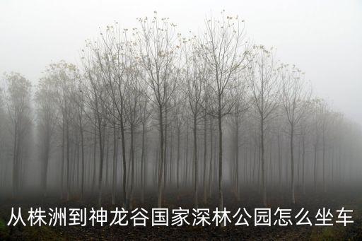 株洲神龍谷，株洲市到株洲神龍谷要多久