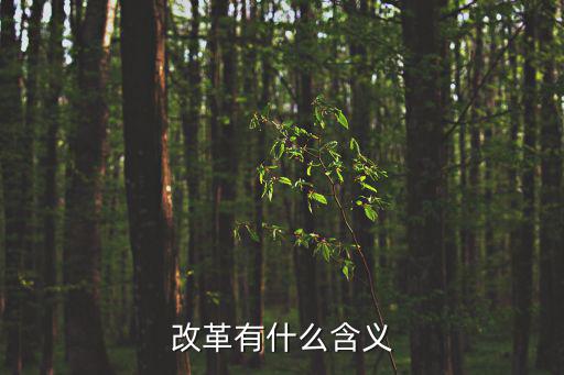 改革有什么含義