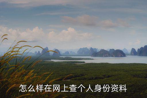 查個人，怎樣在網上查詢個人資料
