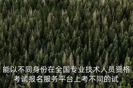 全國(guó)專(zhuān)業(yè)技術(shù)人員資格考試報(bào)名服務(wù)，能以不同身份在全國(guó)專(zhuān)業(yè)技術(shù)人員資格考試報(bào)名服務(wù)平臺(tái)上考不同的試