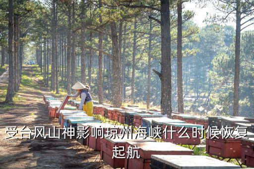 臺風(fēng)山神，受臺風(fēng)山神影響瓊州海峽什么時(shí)候恢復(fù)起航