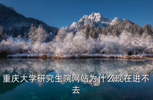 重慶大學(xué)研究生院網(wǎng)站為什么現(xiàn)在進(jìn)不去