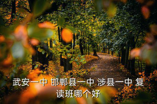 涉縣第一中學，涉縣考高中1中2中是多少分