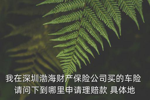 我在深圳渤海財(cái)產(chǎn)保險(xiǎn)公司買的車險(xiǎn) 請(qǐng)問下到哪里申請(qǐng)理賠款 具體地