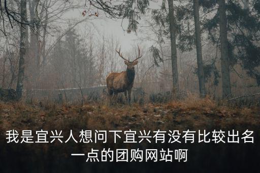 我是宜興人想問下宜興有沒有比較出名一點(diǎn)的團(tuán)購網(wǎng)站啊
