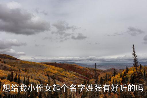 想給我小侄女起個名字姓張有好聽的嗎