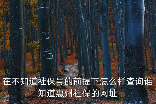 在不知道社保號的前提下怎么樣查詢誰知道惠州社保的網址