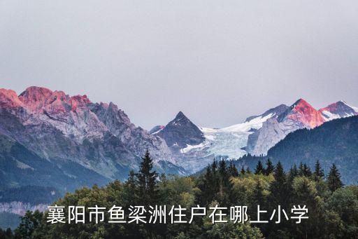 襄陽市魚梁洲住戶在哪上小學
