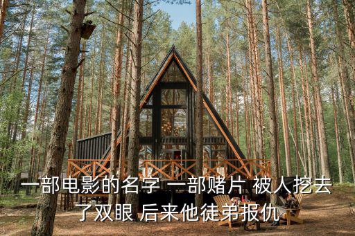 一部電影的名字 一部賭片 被人挖去了雙眼 后來他徒弟報仇