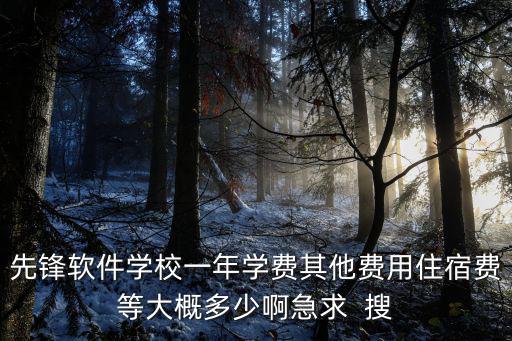 先鋒軟件學(xué)校一年學(xué)費其他費用住宿費等大概多少啊急求  搜