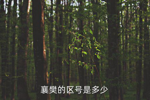 襄陽區號，襄樊的區號是多少