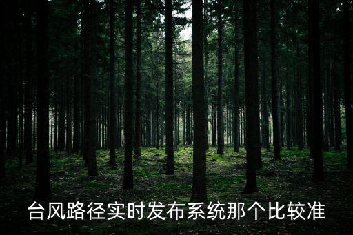 臺風路徑實時發布系統那個比較準