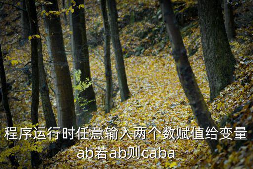 程序運行時任意輸入兩個數賦值給變量ab若ab則caba