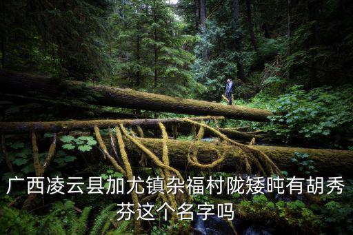 廣西凌云縣加尤鎮雜福村隴矮旽有胡秀芬這個名字嗎