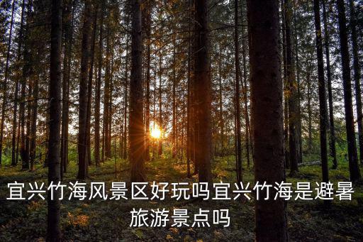竹海風景區，蜀南竹海有哪些景點
