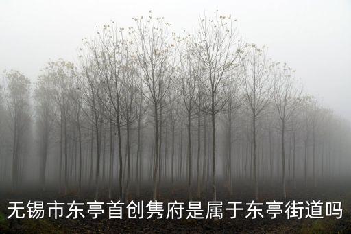 無錫市東亭首創(chuàng)雋府是屬于東亭街道嗎