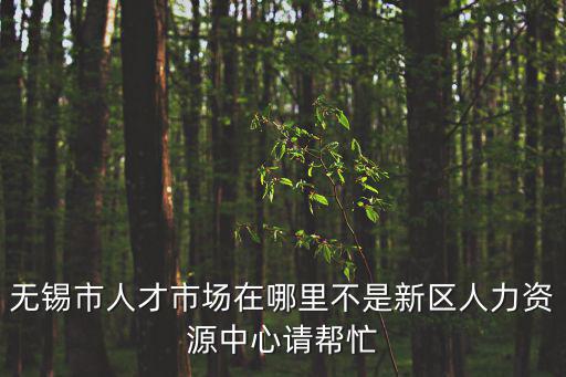 無錫人才，無錫人才市場有幾個在哪