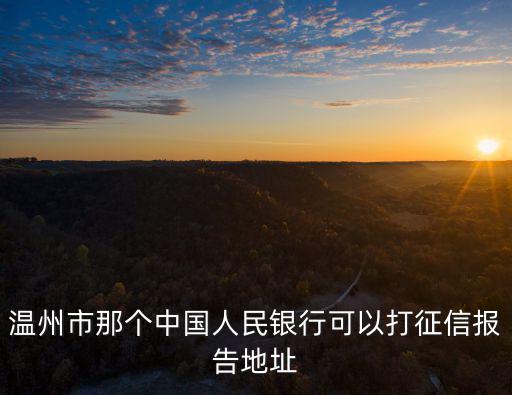信用溫州，信用報告可以再網(wǎng)上查詢碼在溫州除了人民銀行還有其他地方可以