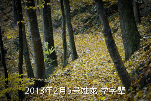 2013年2月5號(hào)姓龍 學(xué)字輩