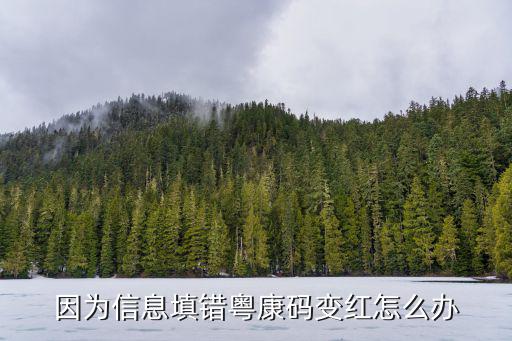 因?yàn)樾畔⑻铄e(cuò)粵康碼變紅怎么辦