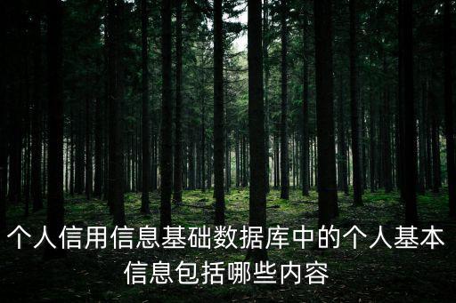 個人信用信息基礎數據庫中的個人基本信息包括哪些內容